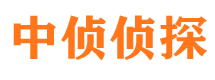 乐东市调查公司